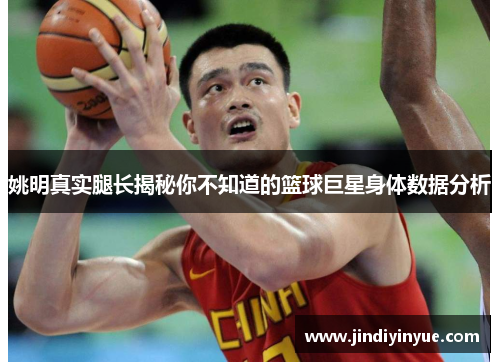 姚明真实腿长揭秘你不知道的篮球巨星身体数据分析