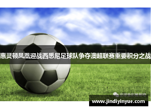 惠灵顿凤凰迎战西悉尼足球队争夺澳超联赛重要积分之战